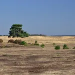 Vakantiehuis Natuurpark Hoefbos Boshuisje Veluwe Otterlo