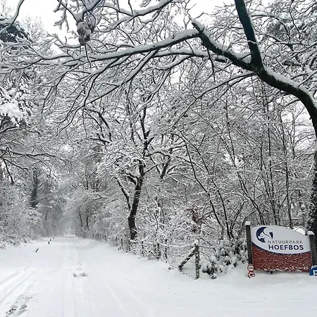 Natuurpark Hoefbos Boshuisje Veluwe Vakantiehuis Otterlo