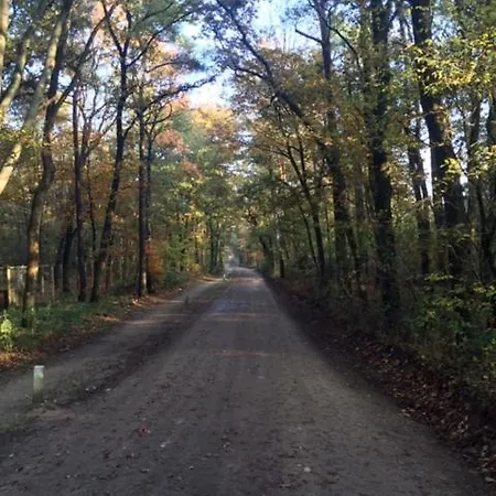 Natuurpark Hoefbos Boshuisje Veluwe Дом отдыха Оттерло