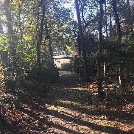 Natuurpark Hoefbos Boshuisje Veluwe 펜션 오털로