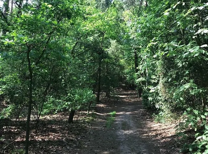 Natuurpark Hoefbos Boshuisje Veluwe