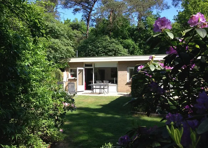 Vakantiehuis Natuurpark Hoefbos Boshuisje Veluwe