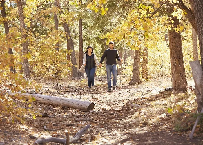 Vakantiehuis Natuurpark Hoefbos Boshuisje Veluwe