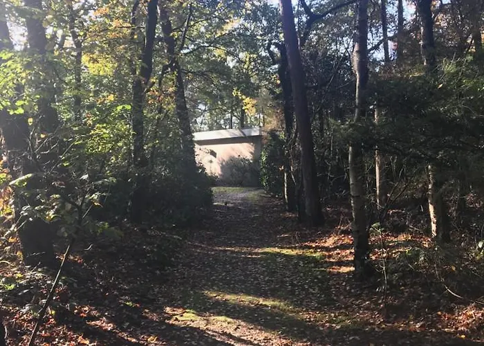 Natuurpark Hoefbos Boshuisje Veluwe Vakantiehuis Otterlo
