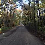 Natuurpark Hoefbos Boshuisje Veluwe Casa de Férias Otterlo