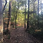 Casa de Férias Natuurpark Hoefbos Boshuisje Veluwe *