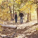 Casa de Férias Natuurpark Hoefbos Boshuisje Veluwe