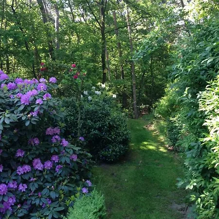 Natuurpark Hoefbos Boshuisje Veluwe *