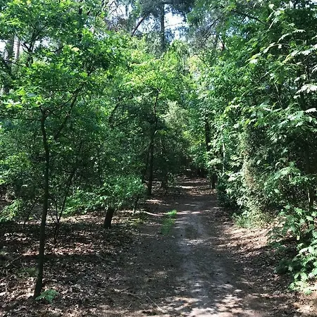 Natuurpark Hoefbos Boshuisje Veluwe