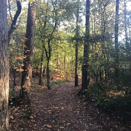 Σπίτι διακοπών Natuurpark Hoefbos Boshuisje Veluwe *