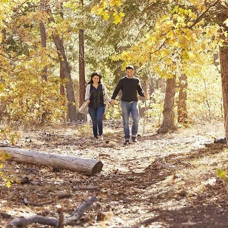 Σπίτι διακοπών Natuurpark Hoefbos Boshuisje Veluwe