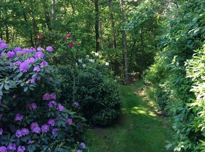 Natuurpark Hoefbos Boshuisje Veluwe *