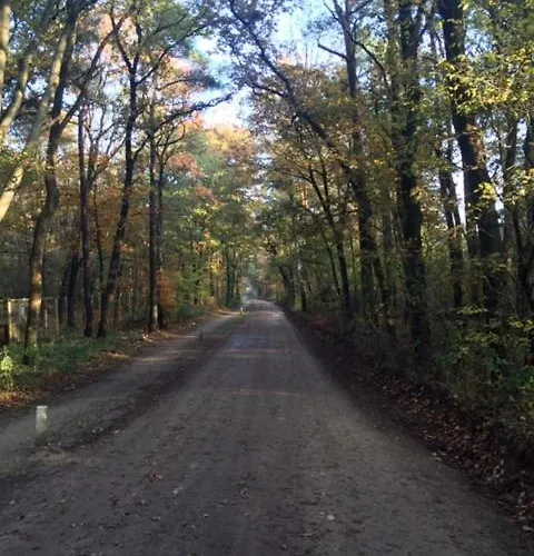Natuurpark Hoefbos Boshuisje Veluwe بيت للعطل أوتيرلو
