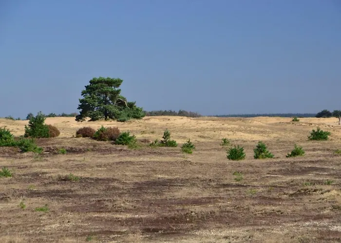 بيت للعطل Natuurpark Hoefbos Boshuisje Veluwe أوتيرلو